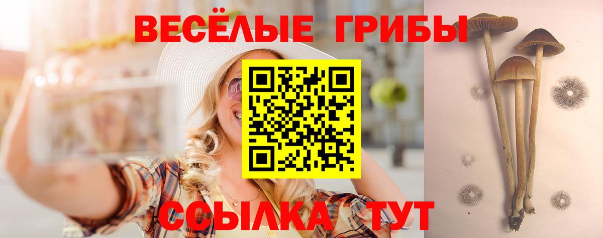 Псилоцибиновые грибы Psilocybine cubensis  Вход с VPN  Сызрань 